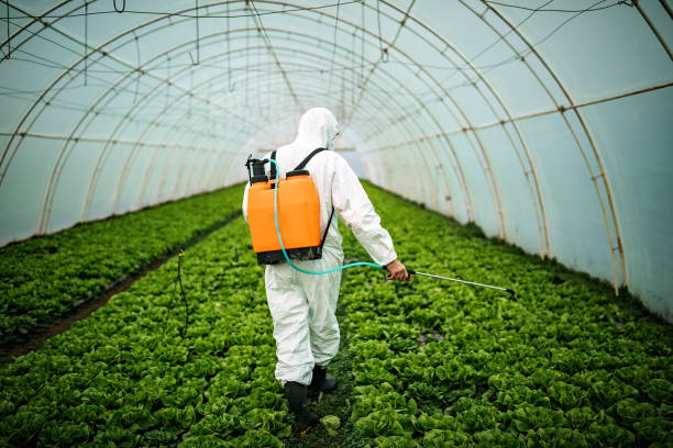 Best Residential Pest Control  in Sun Valley, ID